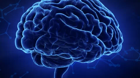 Brain Head 19 3 Molecular D1gB 4k 스톡 동영상 111846940