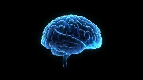 Brain head human mental idea mind 3D illustration background 1 A1bA2 01 Stock Illustration