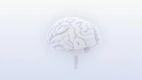 Brain head human mental idea mind 3D illustration background 1 A1bS 03 Illustrazione stock