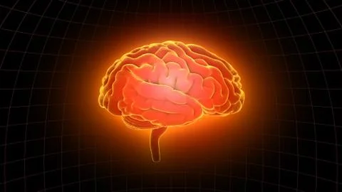 Brain head human mental idea mind 3D illustration background 1 A1dD 01 Stock Illustration