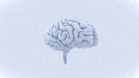 Brain head human mental idea mind 3D illustration background 1 A1dW 01 Stock Illustration