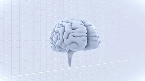 Brain head human mental idea mind 3D illustration background 1 A1gW 02 Stock Illustration