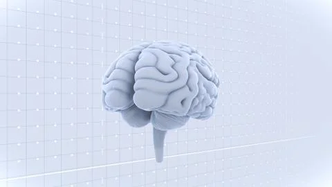 Brain head human mental idea mind 3D illustration background 1 A1gW 04 Stock Illustration