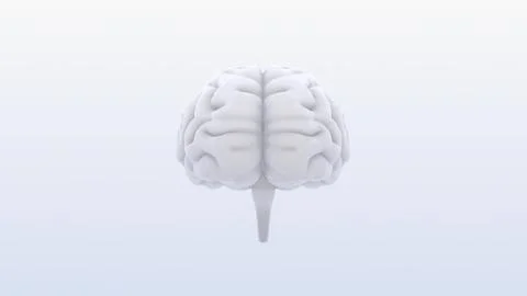 Brain head human mental idea mind 3D illustration background 1 B1bS 03 Stock Illustration