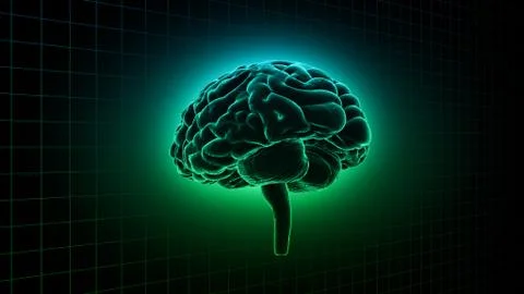 Brain head human mental idea mind 3D illustration background 1 B1gD 04 Stock Illustration