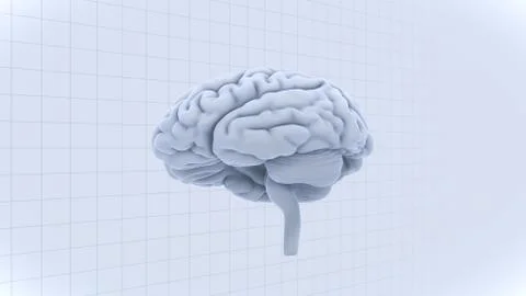 Brain head human mental idea mind 3D illustration background 1 B1gW 03 イラスト素材