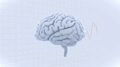 Brain head human mental idea mind 3D illustration background 2 A1gW 04 Stock Illustration