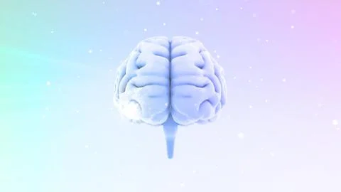 Brain head human mental idea mind 3D illustration background 2 B1bW 03 Stock Illustration