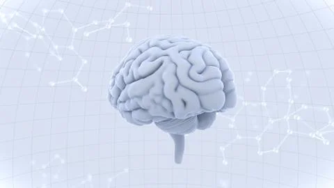 Brain head human mental idea mind 3D illustration background 3 Molecular A1d Stock Illustration
