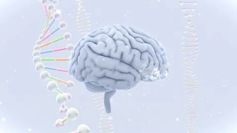 Brain head human mental idea mind 3D illustration background 3 DNA A1bW 01 イラスト素材