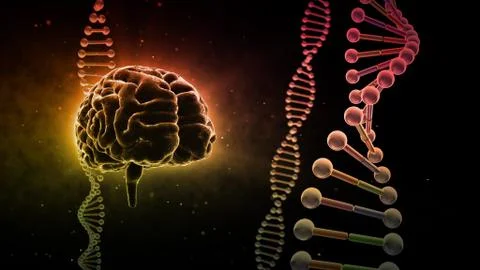 Brain head human mental idea mind 3D illustration background 3 DNA A2bD 02 イラスト素材