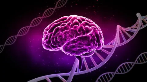 Brain head human mental idea mind 3D illustration background 3 DNA C1bD 02 Stock Illustration