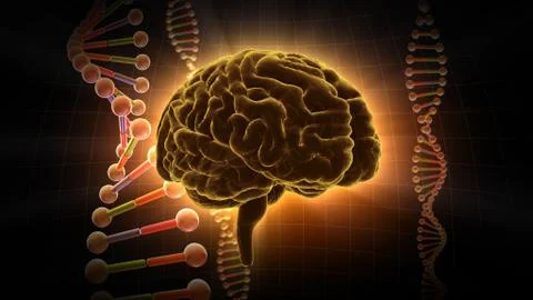 Brain head human mental idea mind 3D illustration background 3 DNA D1dD 01 Stock Illustration