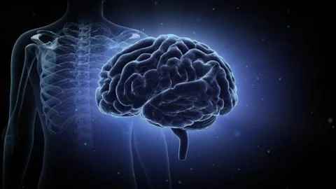 Brain head human mental idea mind 3D illustration background 3 Medical C1bB Stock Illustration