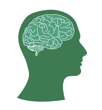 Brain head vector illustration Stock Illustration