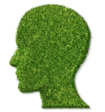 Brain health and memory function 스톡 일러스트