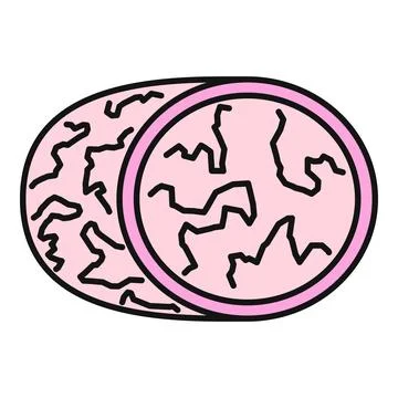Brain health concept flat vector icon illustration 스톡 일러스트
