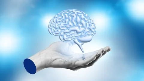 Brain held in hand on blue background showing concepts of knowledge and 库存照片