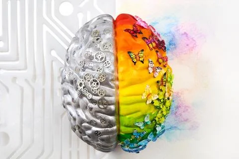 Brain hemispheres showing creativity and logical thinking Foto stock