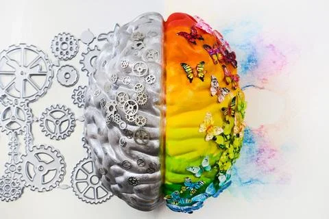 Brain hemispheres showing logic creativity and mental balance Fotos Stock