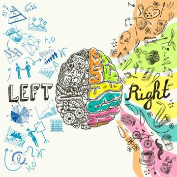 Brain hemispheres sketch Illustrazione stock