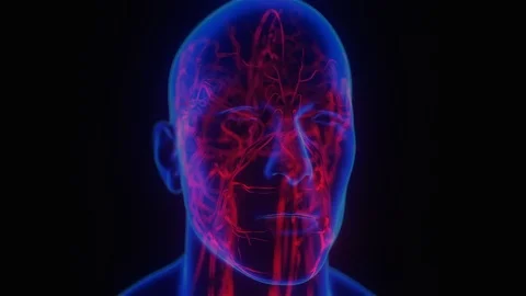 Brain hemodynamics neon Stock Footage 124430521