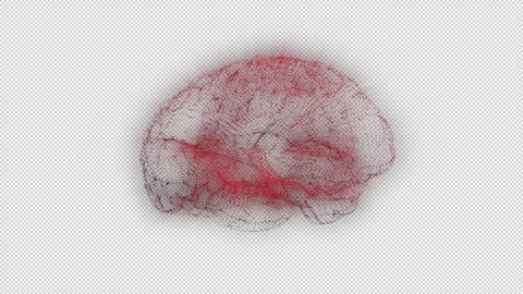Brain Hologram in a 3D animation Stock Footage 241569193