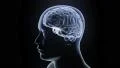 Brain hologram with head rotating loop 4k 4k or 4k+ Resolution