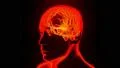 Brain hologram with head rotating loop 4k 4k or 4k+ Resolution