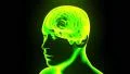 Brain hologram with head rotating loop 4k 4k or 4k+ Resolution