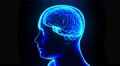 Brain hologram with head rotating loop 4k 4k or 4k+ Resolution