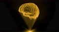 Brain hologram holographic projection projector sci-fi doctor technology loop 4k 4k or 4k+ Resolution