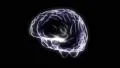 Brain hologram rotating loop 4k 4k or 4k+ Resolution