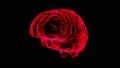 Brain hologram rotating loop 4k 4k or 4k+ Resolution