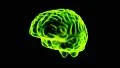 Brain hologram rotating loop 4k 4k or 4k+ Resolution