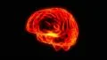 Brain hologram rotating loop 4k 4k or 4k+ Resolution