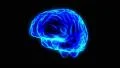 Brain hologram rotating loop 4k 4k or 4k+ Resolution