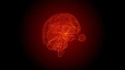 Brain Hologram Rotating Loop in 4k Stock Footage 115733357