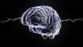 Brain hologram rotating sparks lightning electricity headache neuron loop 4k 4k or 4k+ Resolution