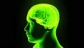 Brain hologram rotating sparks lightning electricity headache neuron loop 4k 4k or 4k+ Resolution