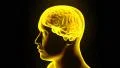 Brain hologram rotating sparks lightning electricity headache neuron loop 4k 4k or 4k+ Resolution