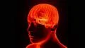 Brain hologram rotating sparks lightning electricity headache neuron loop 4k 4k or 4k+ Resolution