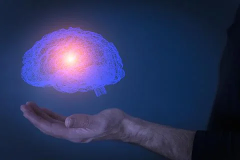 Brain hologram. Virtual 3D digital hologram of brain in the hands of a human Stock Photos