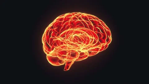 Brain hologram visualization looped animation Stock Footage 170793045
