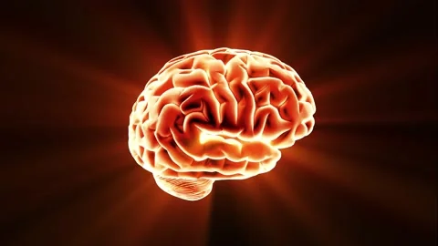 Brain hologram visualization looped animation Stock Footage 171942003