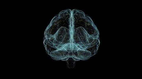Brain Hologram Wireframe. Nice 3D Render on a black background Illustrazione stock