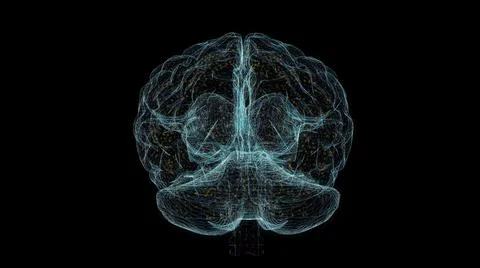 Brain Hologram Wireframe. Nice 3D Render on a black background Stock Illustration