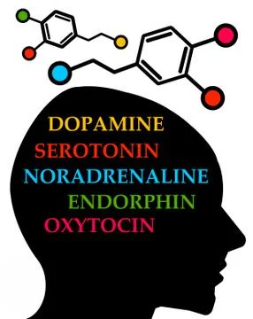 Brain hormones Stock Illustration