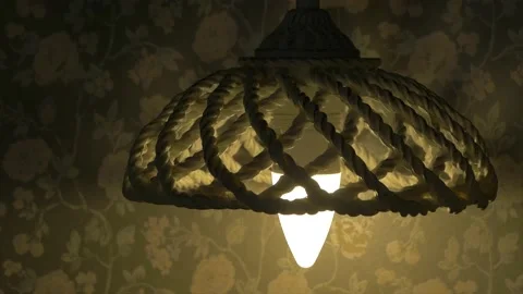Brain in the house.turning on and off the light. Stock Footage 152653085