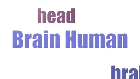 Brain Human Animated Bright Tag Cloud Isolated On White Stock Footage 107229543